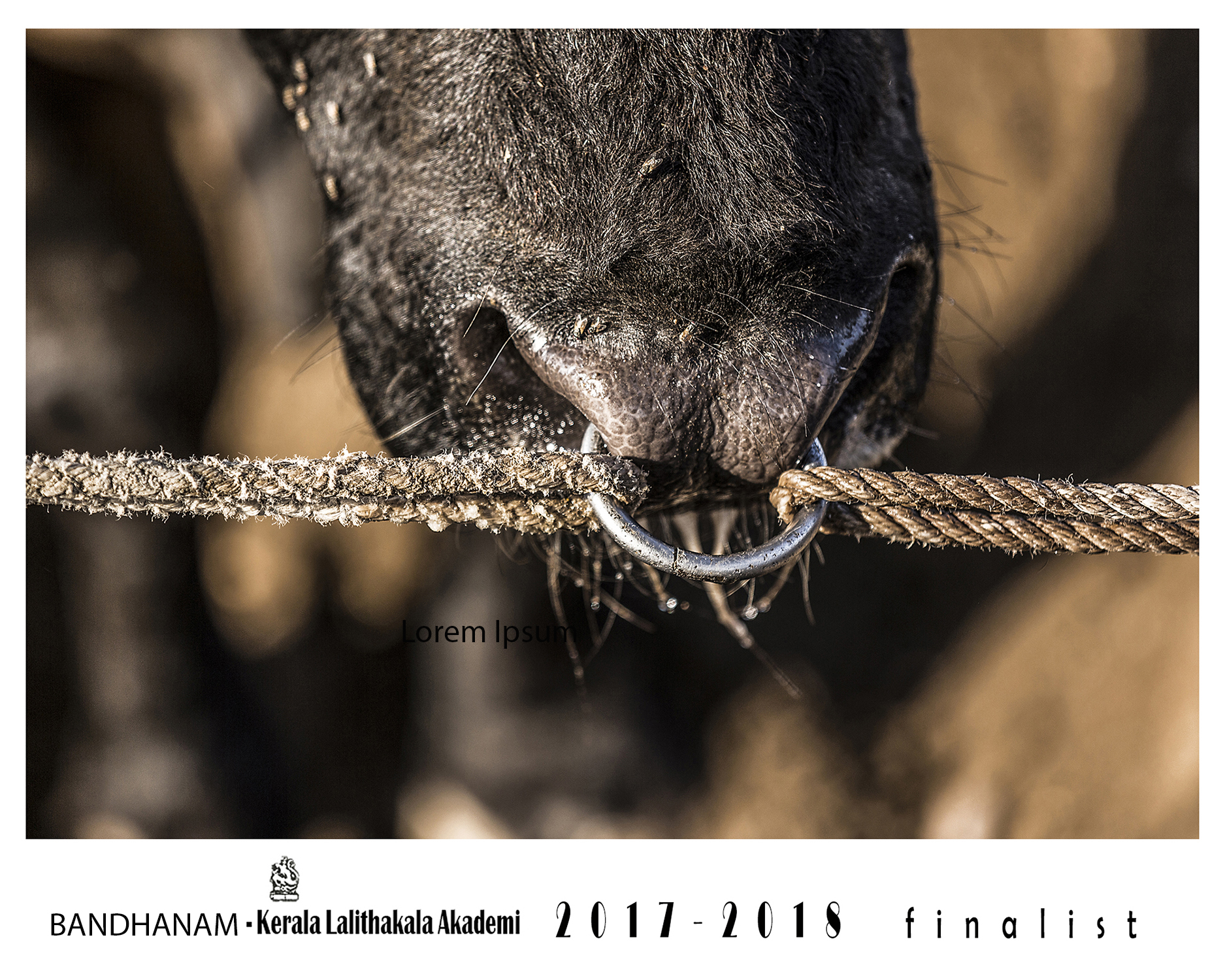 Kerala Lalithakala Akademi