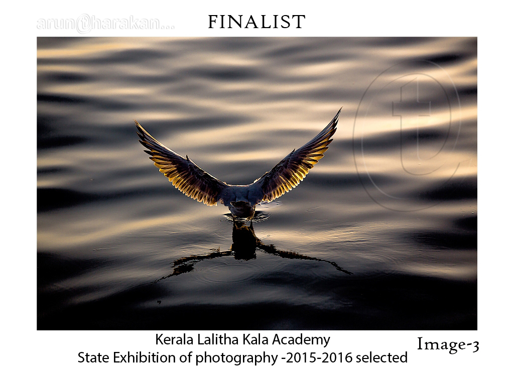 Kerala Lalitha Kala Academy